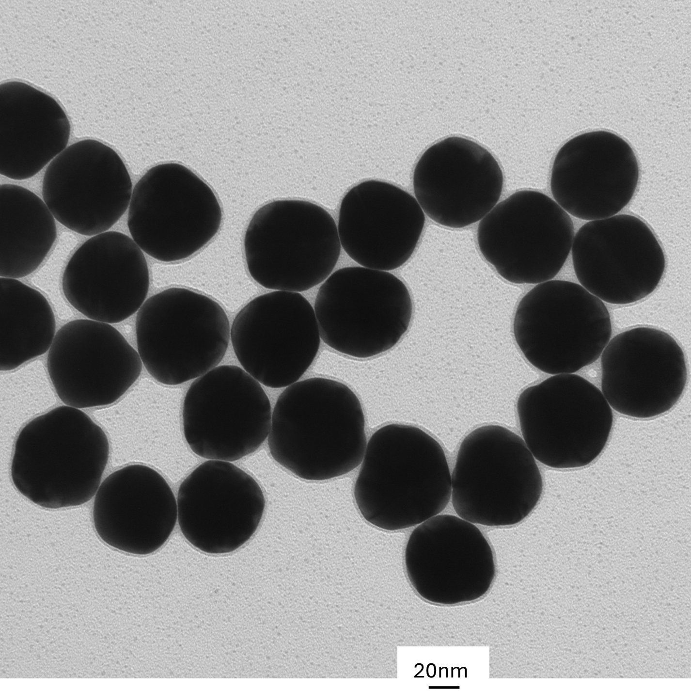 High magnification TEM image highlighting the smooth, spherical morphology of individual 60 nm gold nanoparticles.