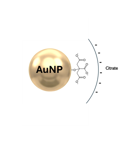 Schematic presentation of gold nanoparticle having citrate surface coating