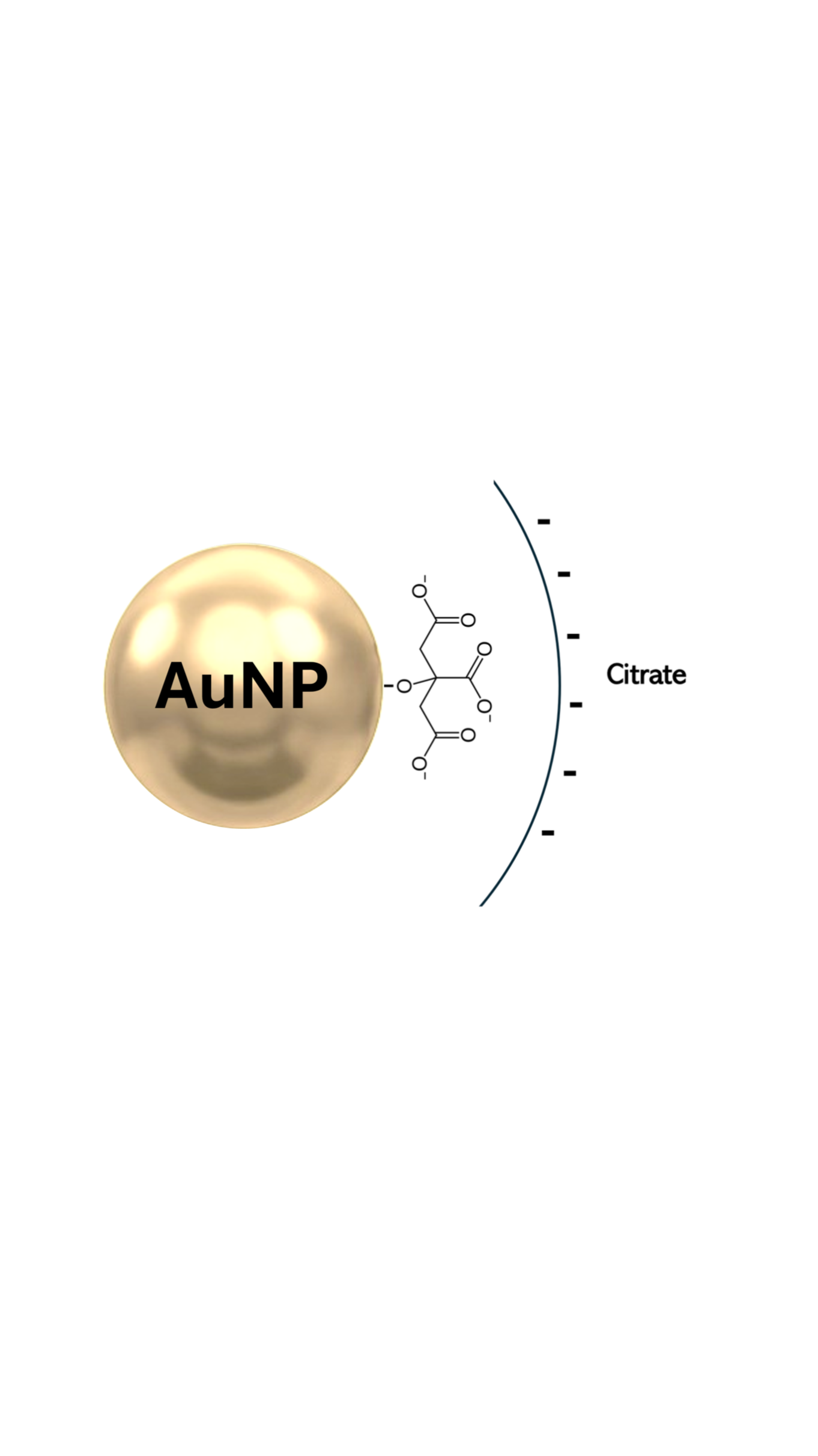 Gold Nano-Spheres with bare (citrate) surface