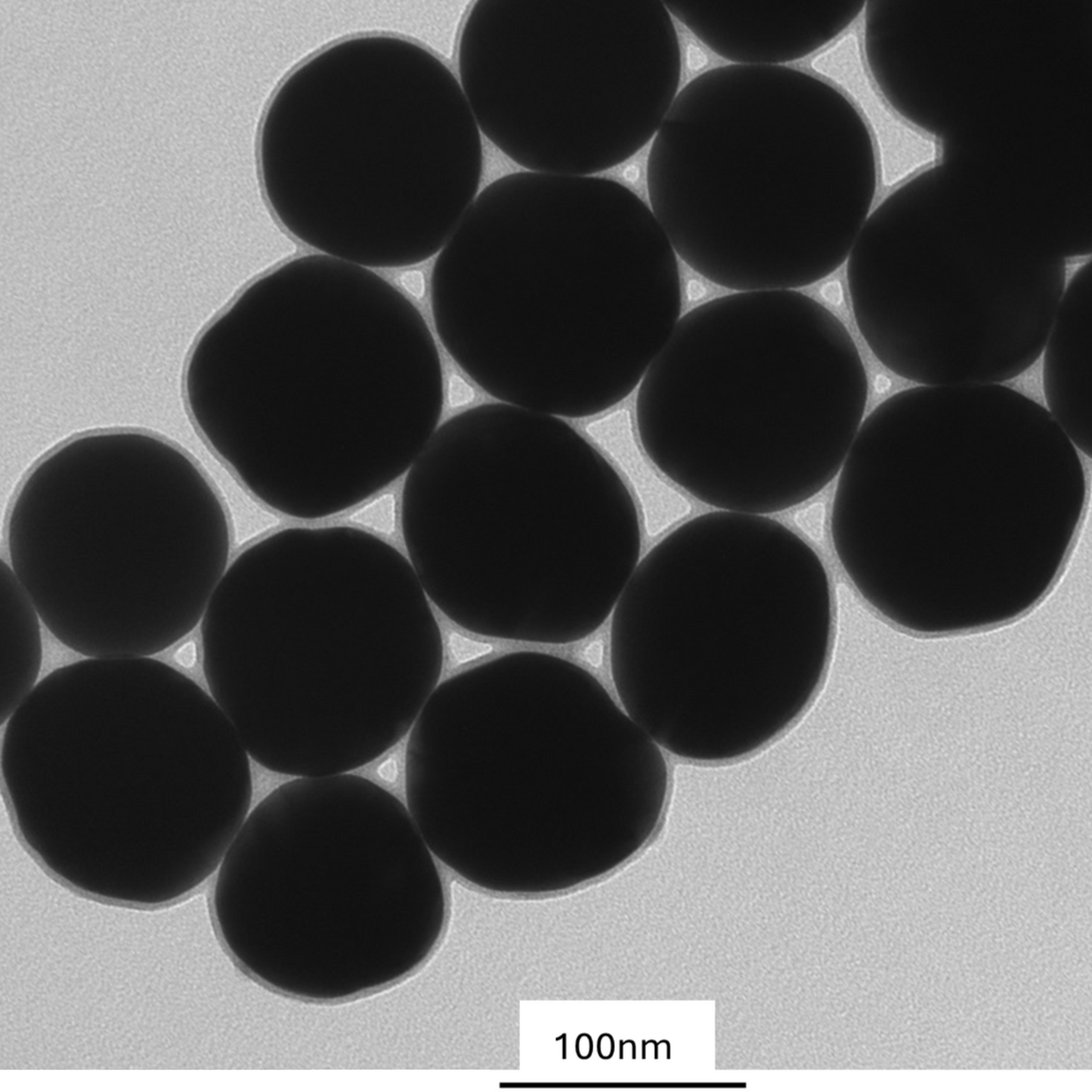 TEM image confirming absence of aggregates in the 100 nm PEG-coated gold nanoparticle sample, particles well separated on the grid.
