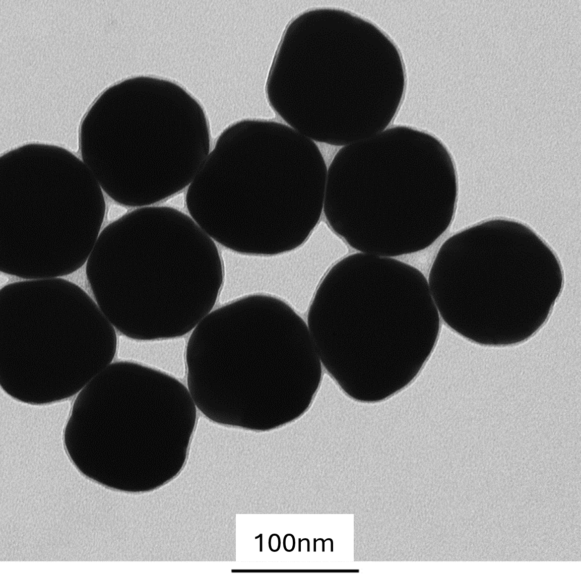 High magnification TEM image highlighting the smooth, spherical morphology of individual PEG-coated 100 nm gold nanoparticles.
