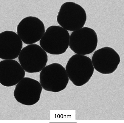 High magnification TEM image highlighting the smooth, spherical morphology of individual PEG-coated 100 nm gold nanoparticles.
