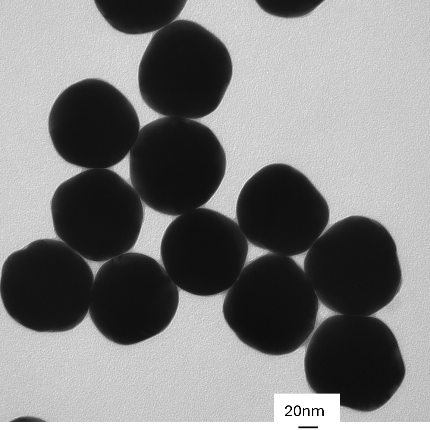 TEM overview of 100 nm gold nanospheres showing homogeneous dispersion and consistent particle size.
