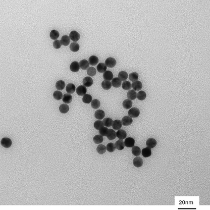 10 nm citrate coated spherical gold nanoparticles in stable colloidal suspension.

