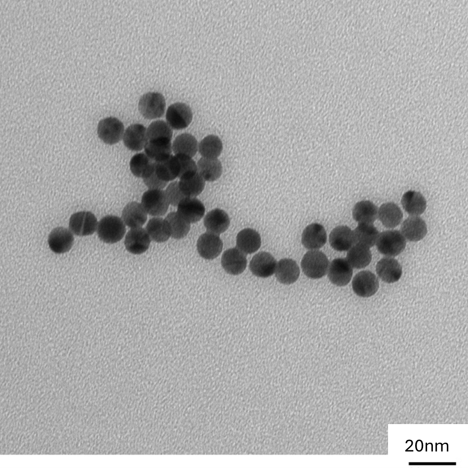 TEM image confirming absence of aggregates in the 10 nm gold nanoparticle sample, particles well separated on the grid.
