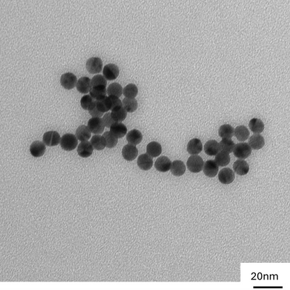 TEM image confirming absence of aggregates in the 10 nm gold nanoparticle sample, particles well separated on the grid.

