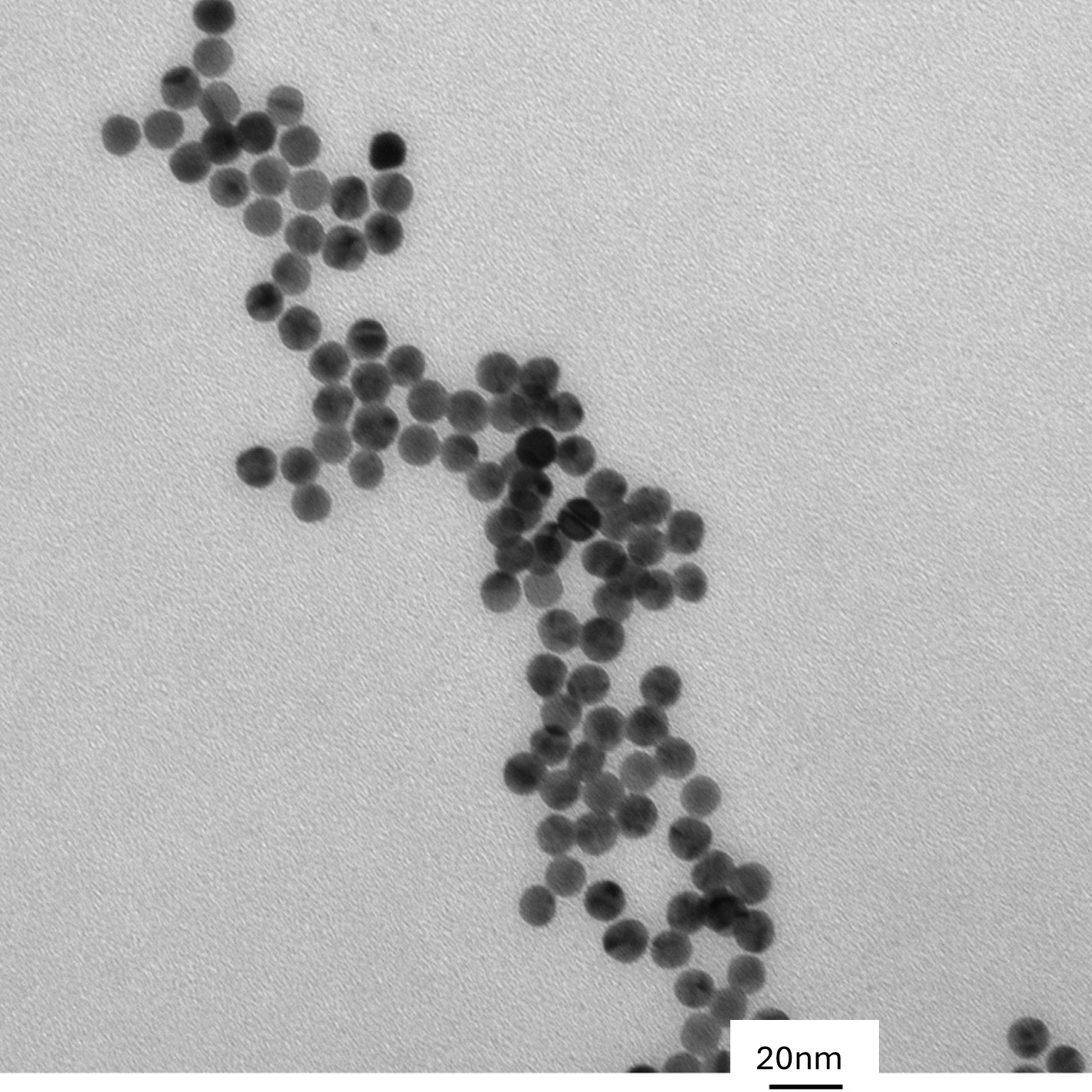 TEM image of a monolayer of 10 nm gold nanospheres used for size measurement and particle counting.

