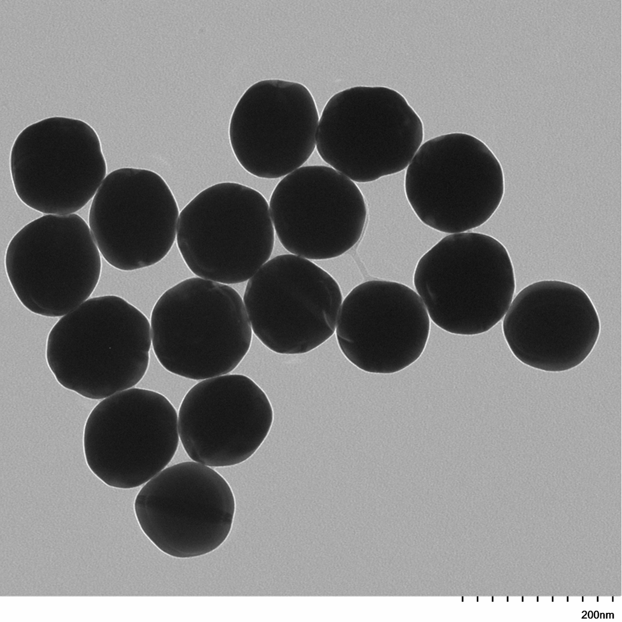 High magnification TEM image highlighting the smooth, spherical morphology of individual 125 nm gold nanoparticles.