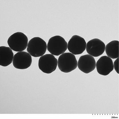 High magnification TEM image highlighting the smooth, spherical morphology of individual 150 nm gold nanoparticles