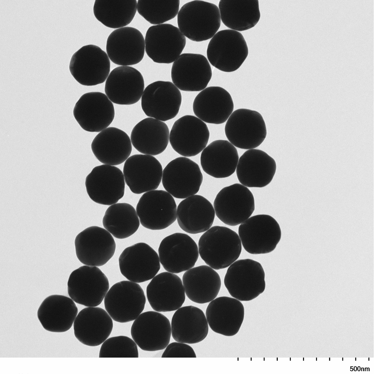 TEM overview of 150 nm gold nanospheres showing homogeneous dispersion and consistent particle size