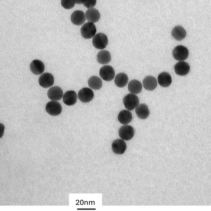 15 nm citrate coated spherical gold nanoparticles in stable colloidal suspension.

