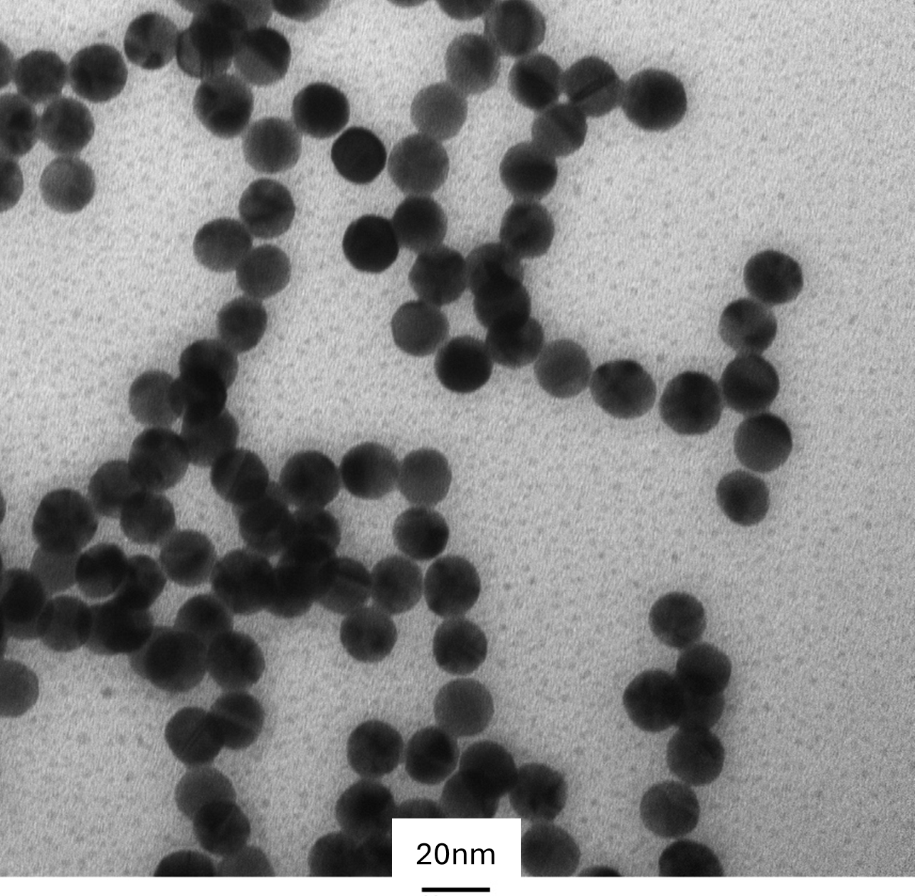 TEM image confirming absence of aggregates in the 15 nm gold nanoparticle sample, particles well separated on the grid.
