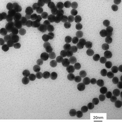 TEM overview of 15 nm gold nanospheres showing homogeneous dispersion and consistent particle size.

