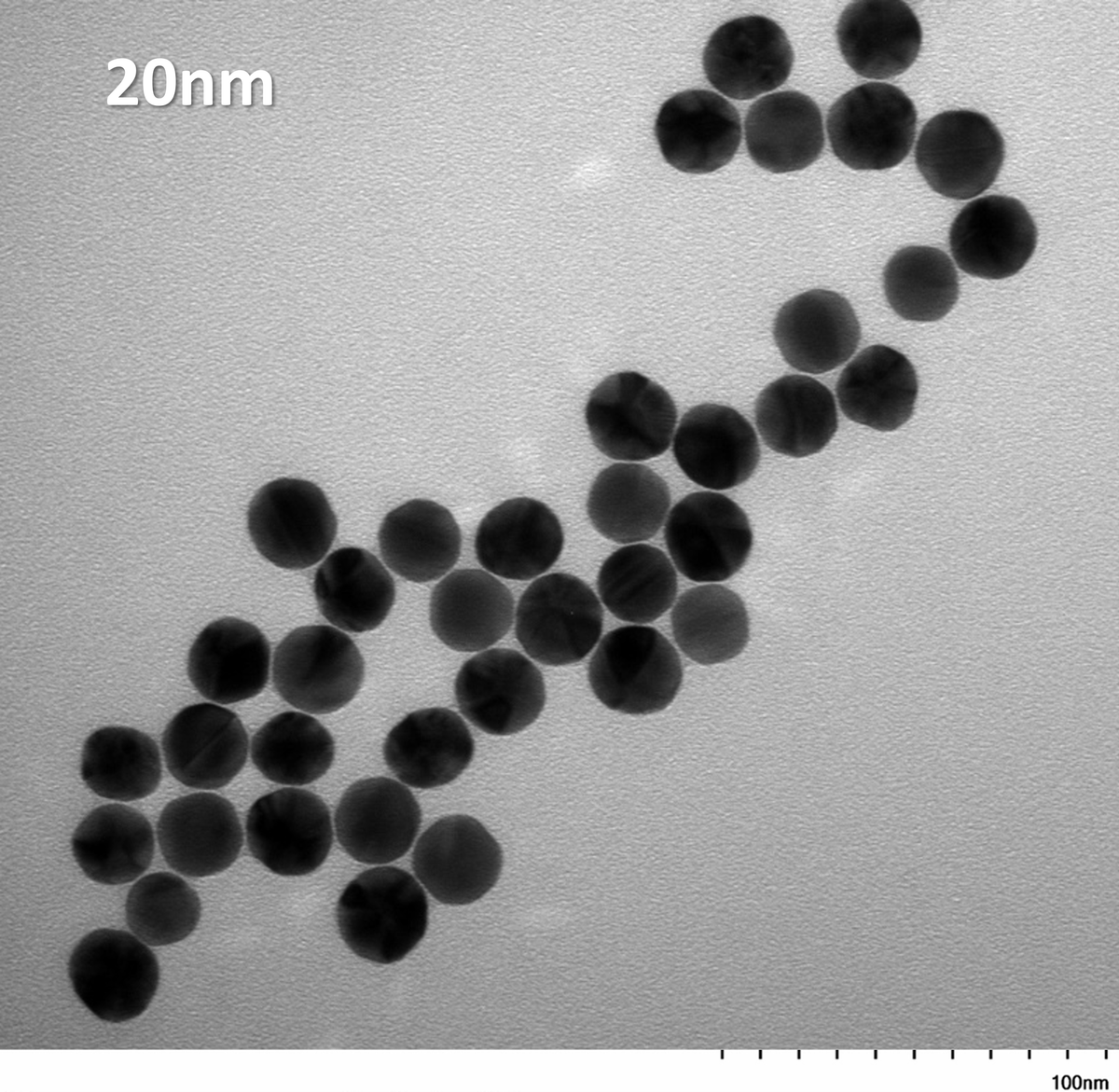 20 nm IVD-READY gold nanoparticles in stable colloidal suspension