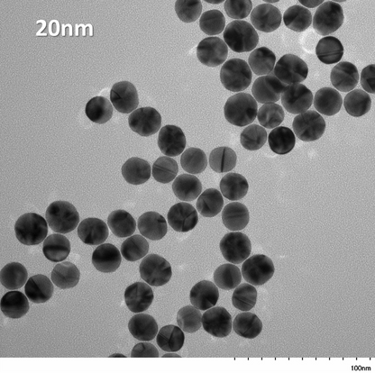 TEM overview of 20 nm IVD-READY gold nanospheres showing homogeneous dispersion and consistent particle size
