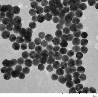 TEM image confirming absence of aggregates in the 20 nm gold nanoparticle sample, particles well separated on the grid