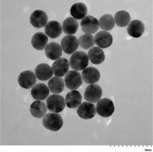 TEM overview of 20 nm PEG-coated IVD-READY gold nanospheres showing homogeneous dispersion and consistent particle size
