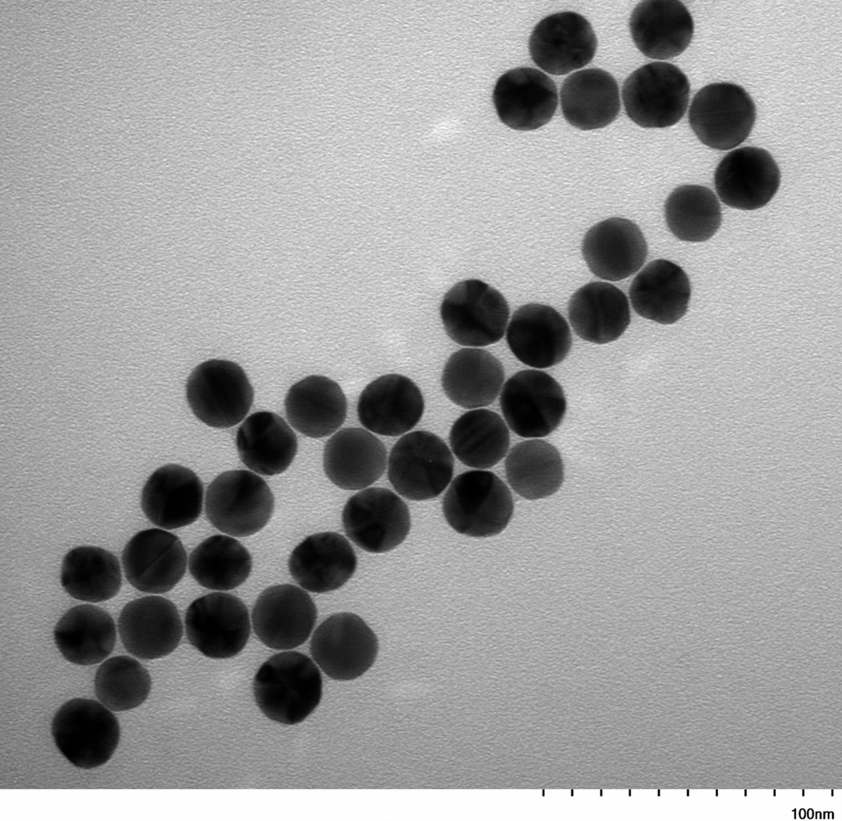 TEM image of a monolayer of 20 nm PEG-coated IVD-READY gold nanospheres used for size measurement and particle counting