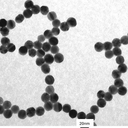 TEM image confirming absence of aggregates in the 20 nm PEG-coated gold nanoparticle sample, particles well separated on the grid.

