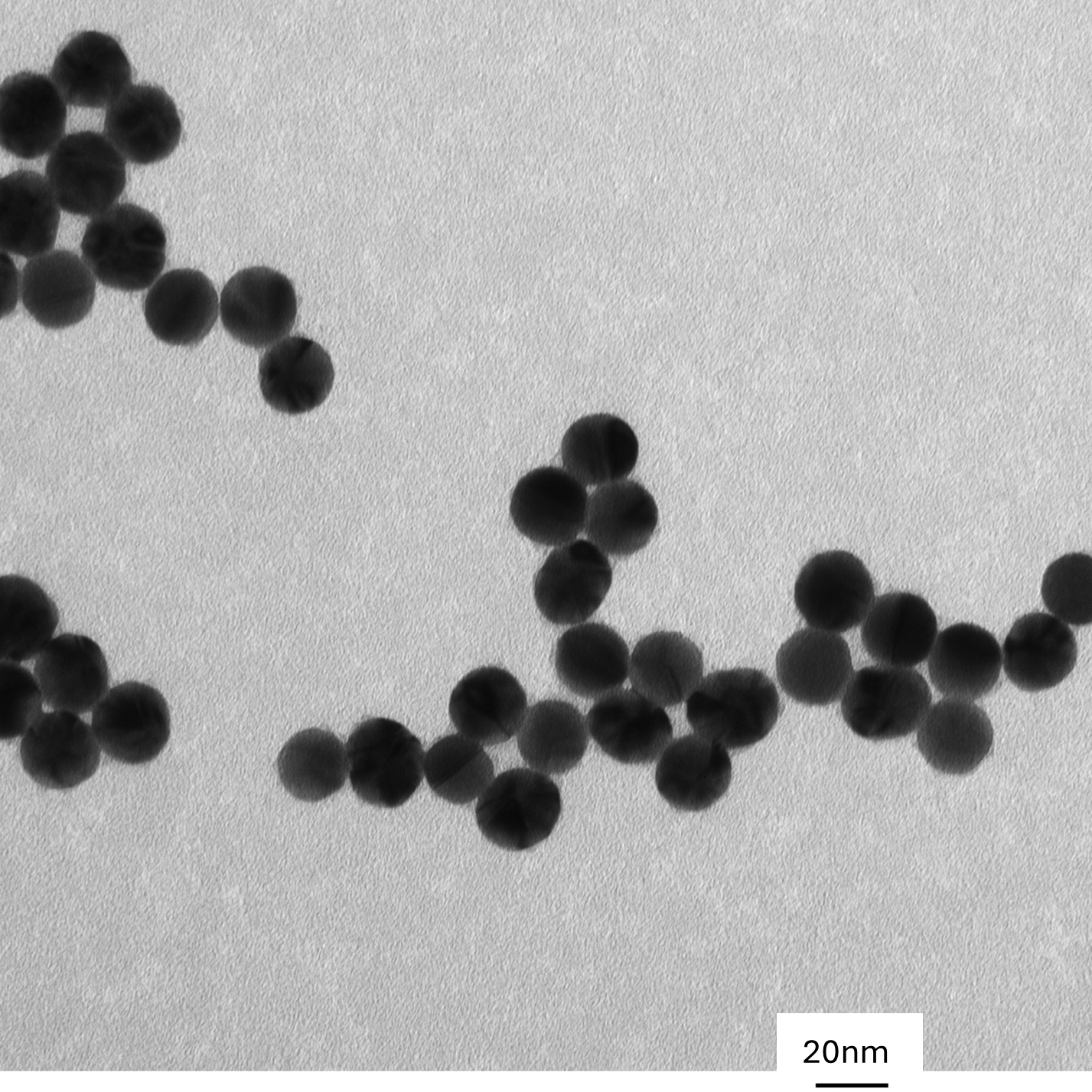 TEM overview of 20 nm PEG-coated gold nanospheres showing homogeneous dispersion and consistent particle size.

