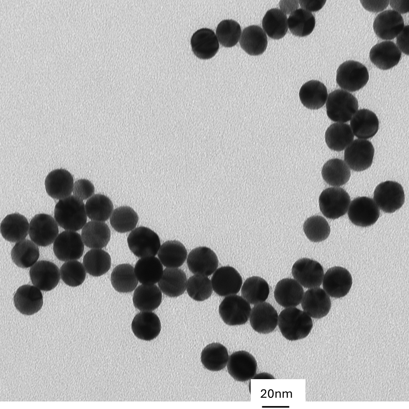 TEM image of a monolayer of 20 nm PEG-coated gold nanospheres used for size measurement and particle counting.

