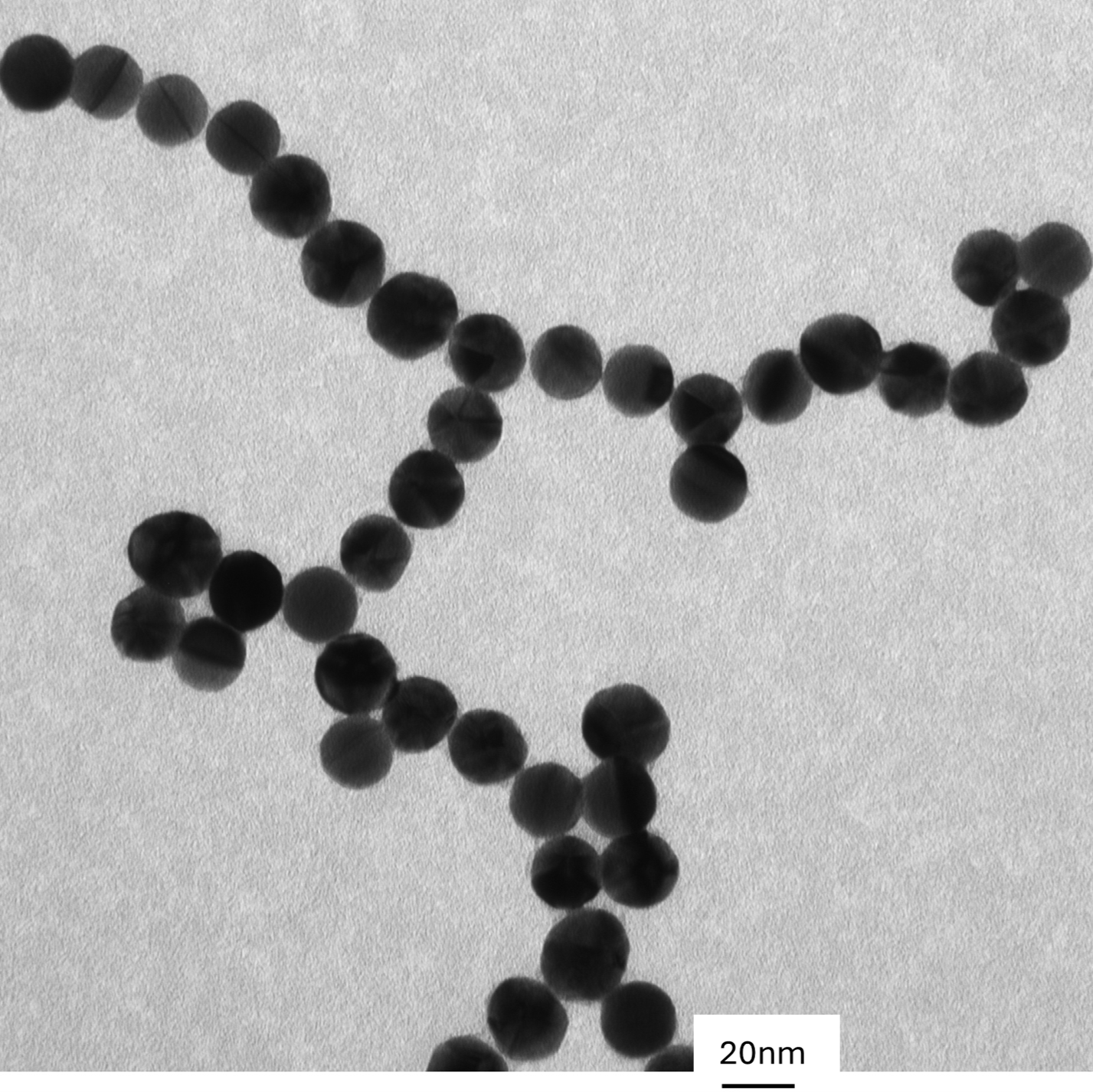 TEM image confirming absence of aggregates in the 20 nm gold nanoparticle sample, particles well separated on the grid.

