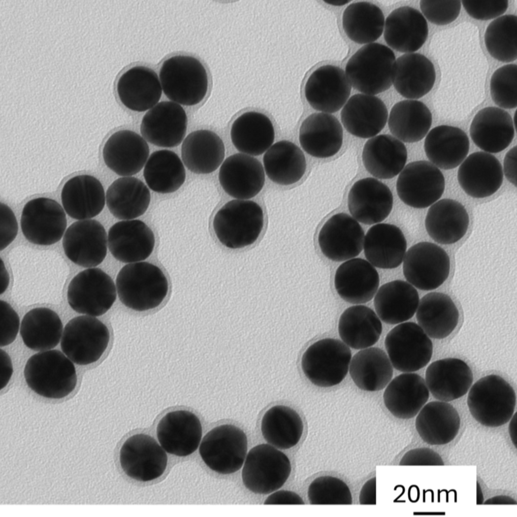 30 nm citrate coated spherical gold nanoparticles in stable colloidal suspension.

