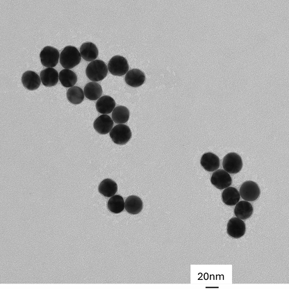 TEM image confirming absence of aggregates in the 30 nm gold nanoparticle sample, particles well separated on the grid.

