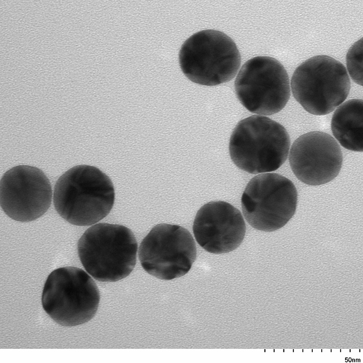 High magnification TEM image highlighting the smooth, spherical morphology of individual 30 nm gold nanoparticles.
