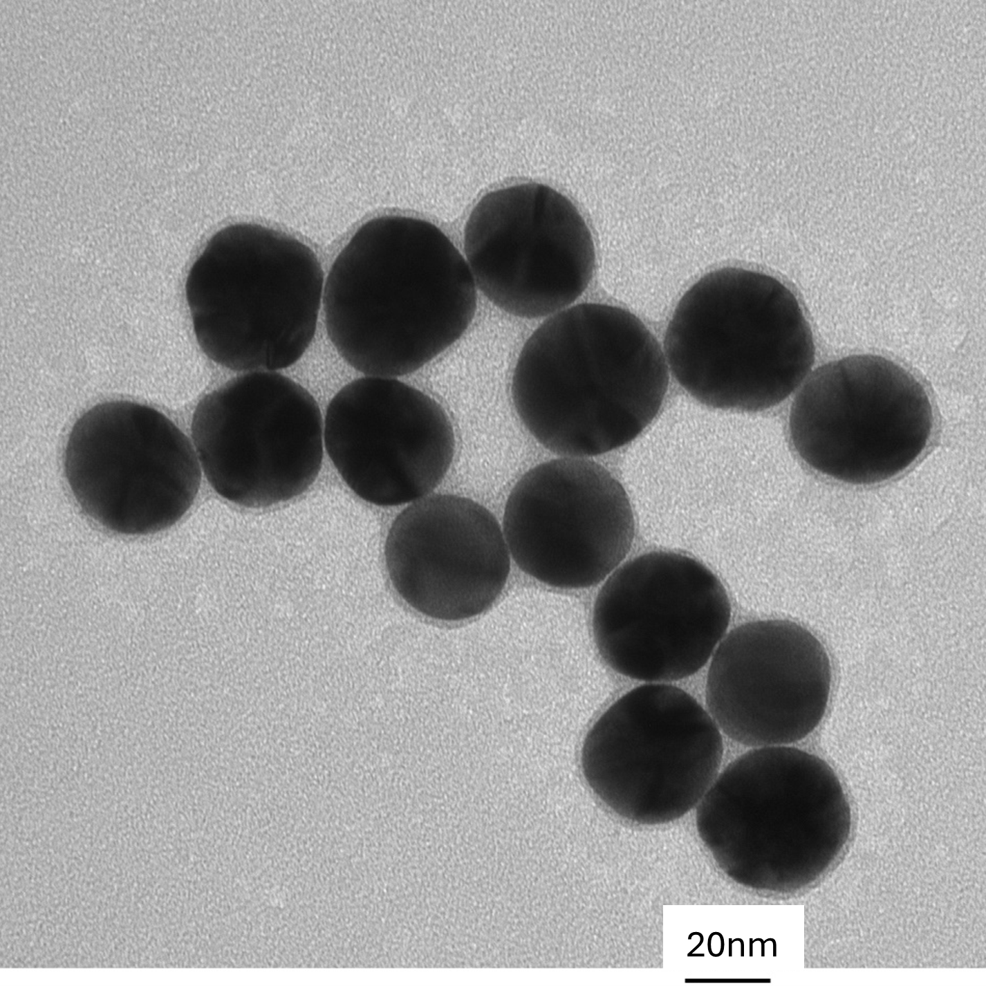 High magnification TEM image highlighting the smooth, spherical morphology of individual 30 nm gold nanoparticles.

