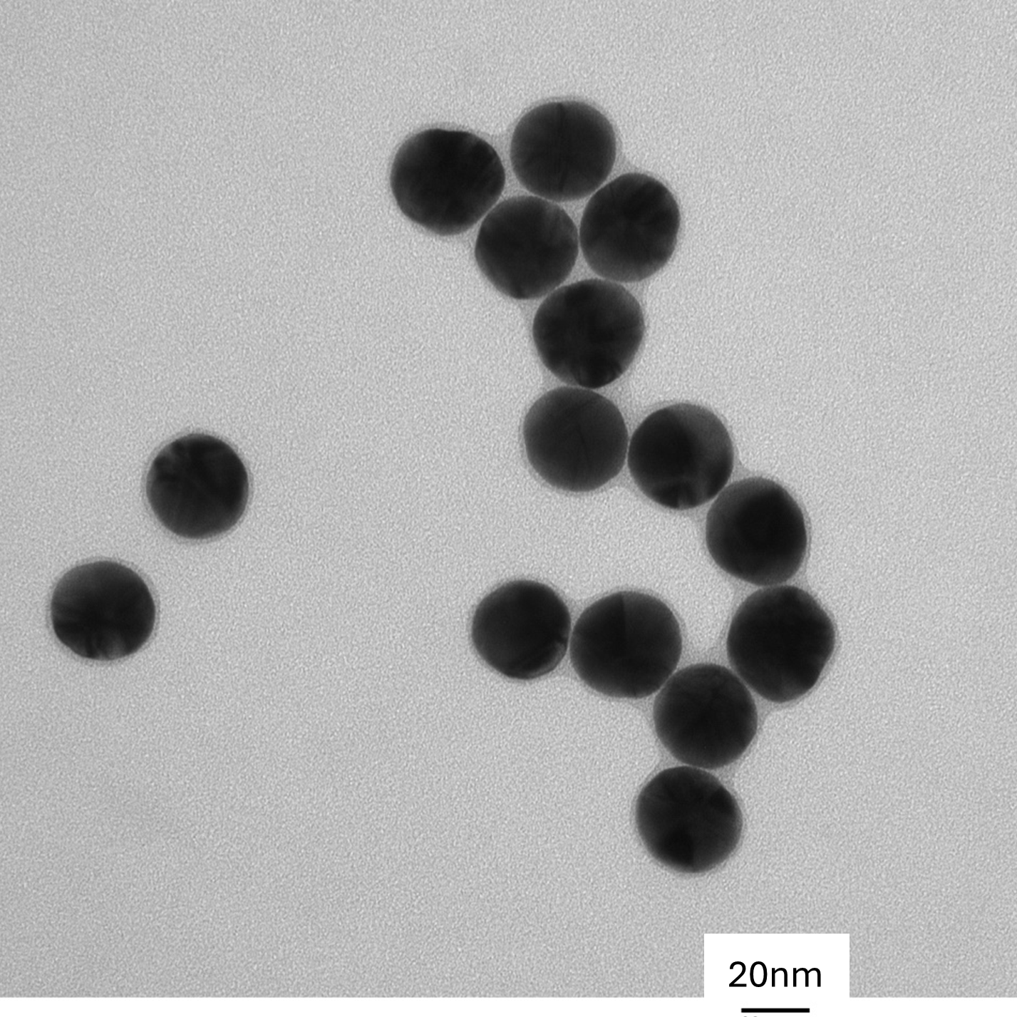 TEM overview of 30 nm gold nanospheres showing homogeneous dispersion and consistent particle size.

