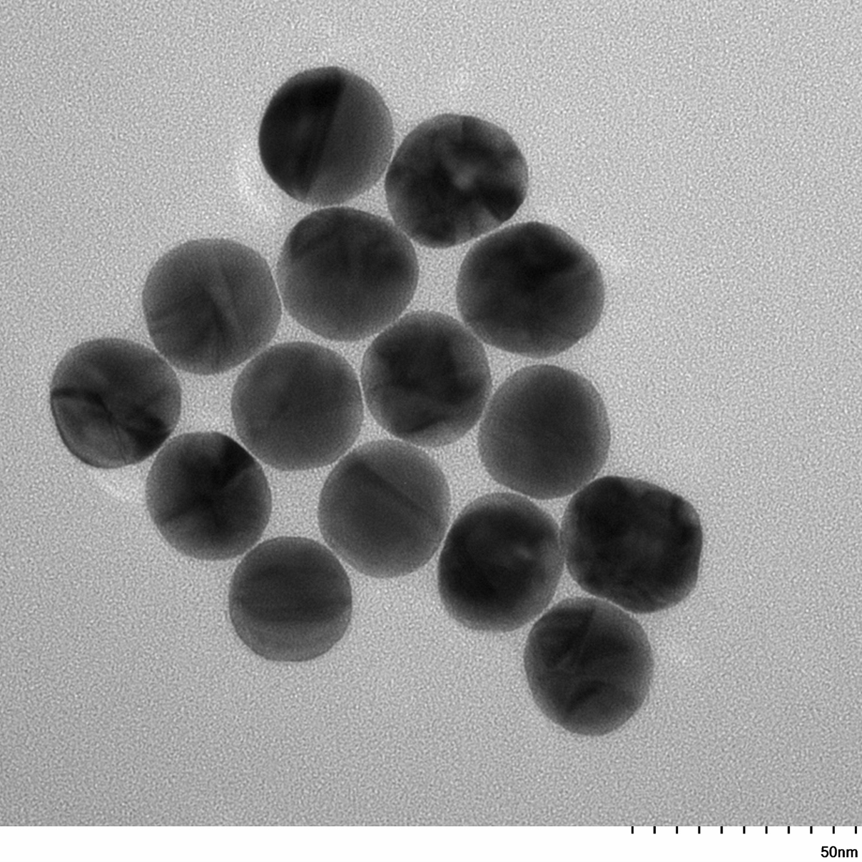 TEM image of a monolayer of 30 nm gold nanospheres used for size measurement and particle counting