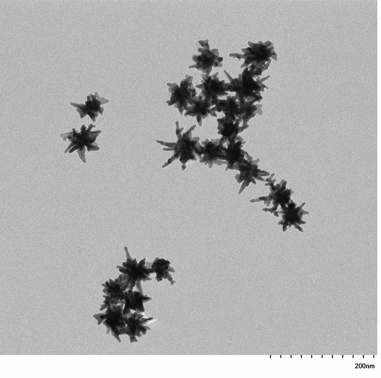 TEM image confirming absence of aggregates in the 30 nm gold nanoparticles sample, particles well separated on the grid.

