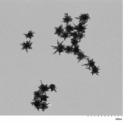 TEM image confirming absence of aggregates in the 30 nm gold nanoparticles sample, particles well separated on the grid.

