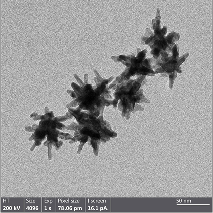 TEM overview of 30 nm gold nanostars showing homogeneous dispersion and consistent particle size.

