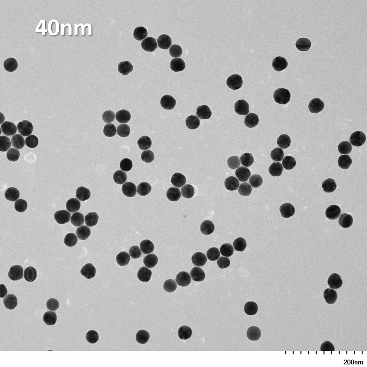TEM overview of 40 nm IVD-READY gold nanospheres showing homogeneous dispersion and consistent particle size
