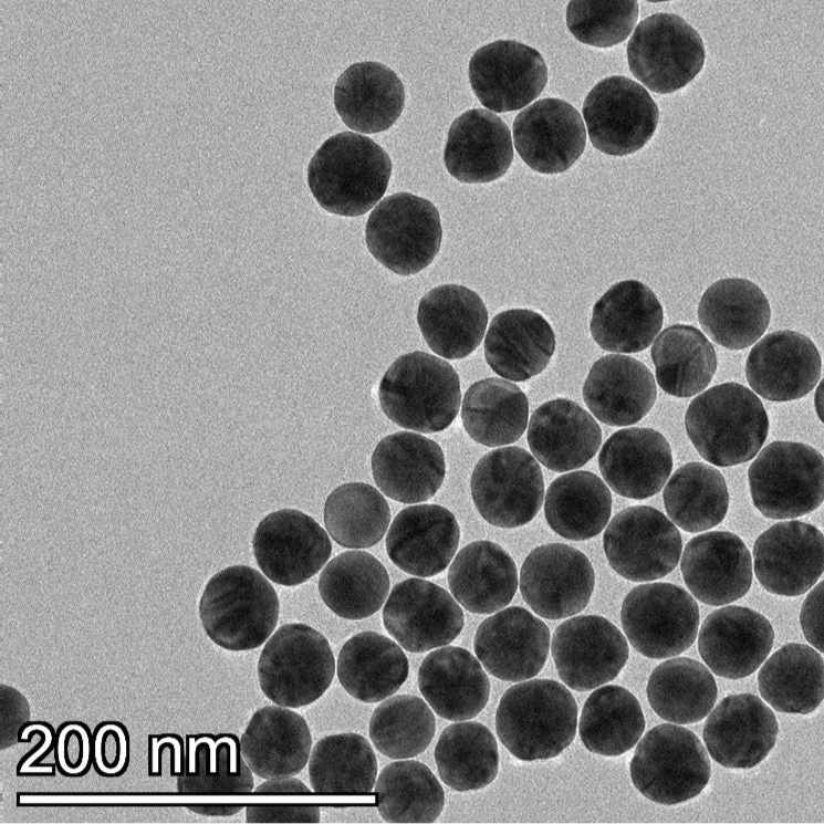 TEM image confirming absence of aggregates in the 40 nm PEG-coated gold nanoparticle sample, particles well separated on the grid.

