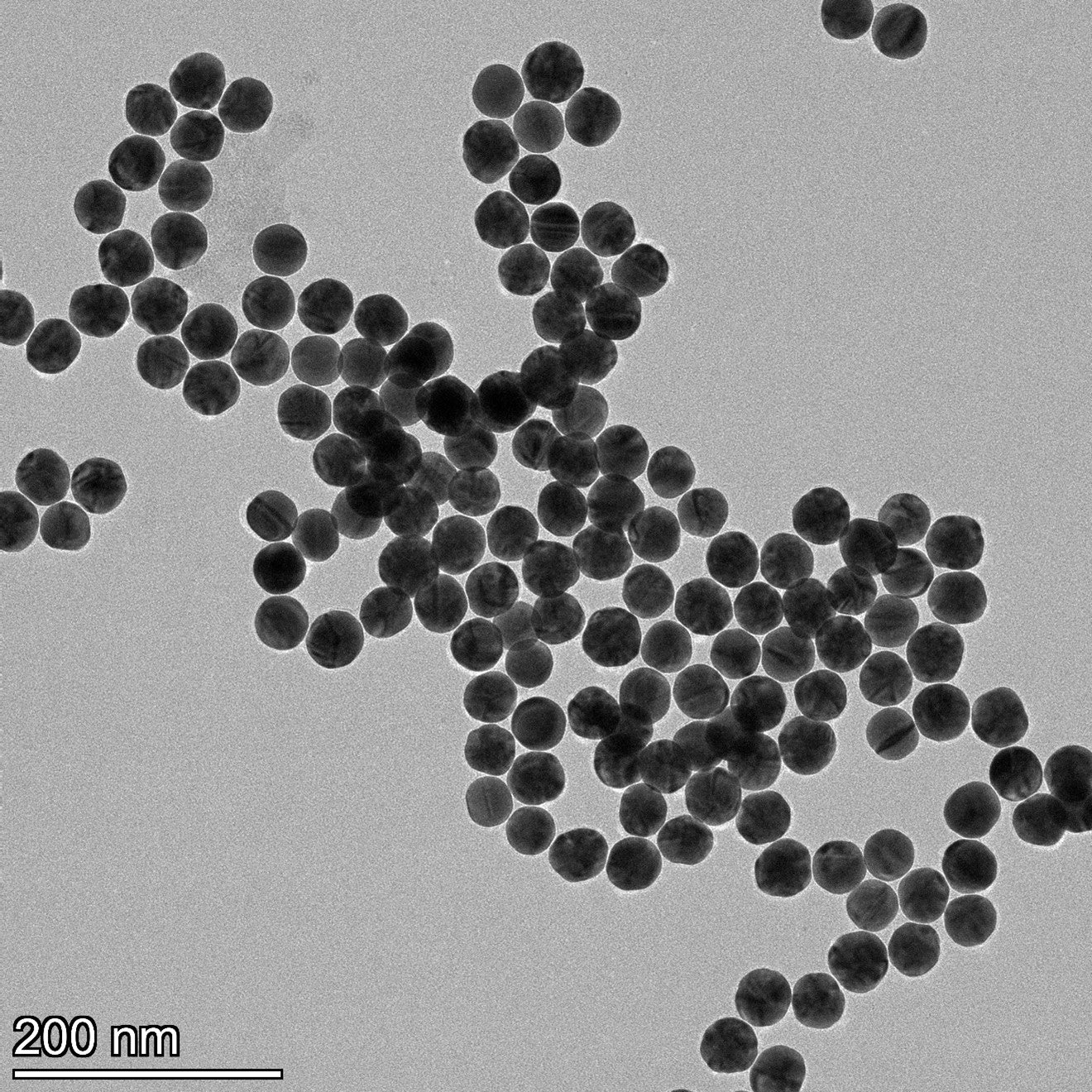 TEM overview of 40 nm PEG-coated gold nanospheres showing homogeneous dispersion and consistent particle size.
