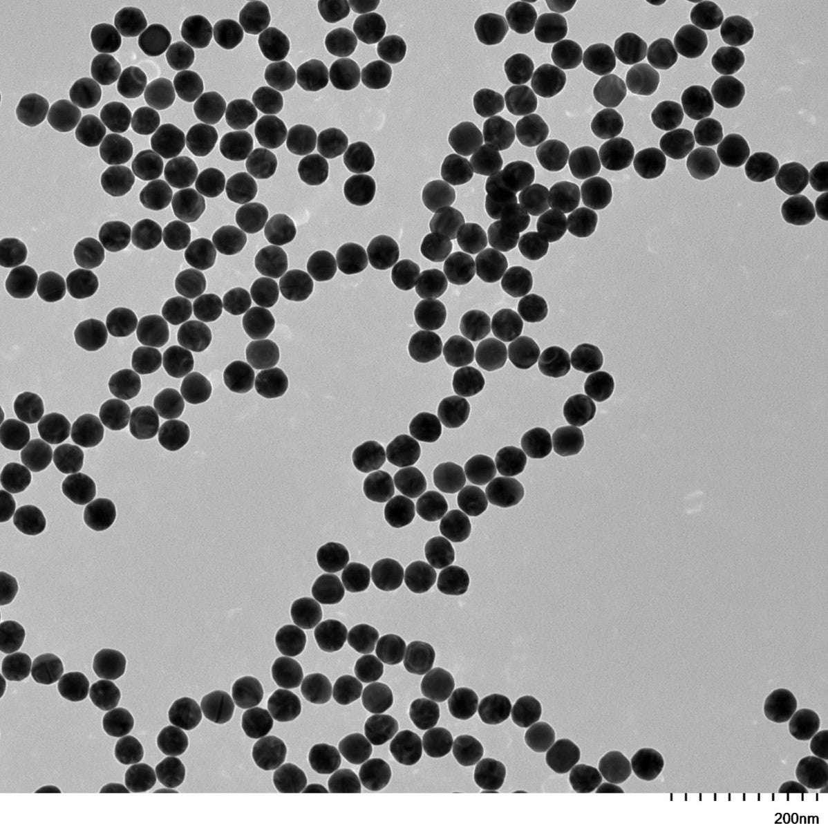 TEM image of a monolayer of 40 nm PEG-coated IVD-READY gold nanospheres used for size measurement and particle counting