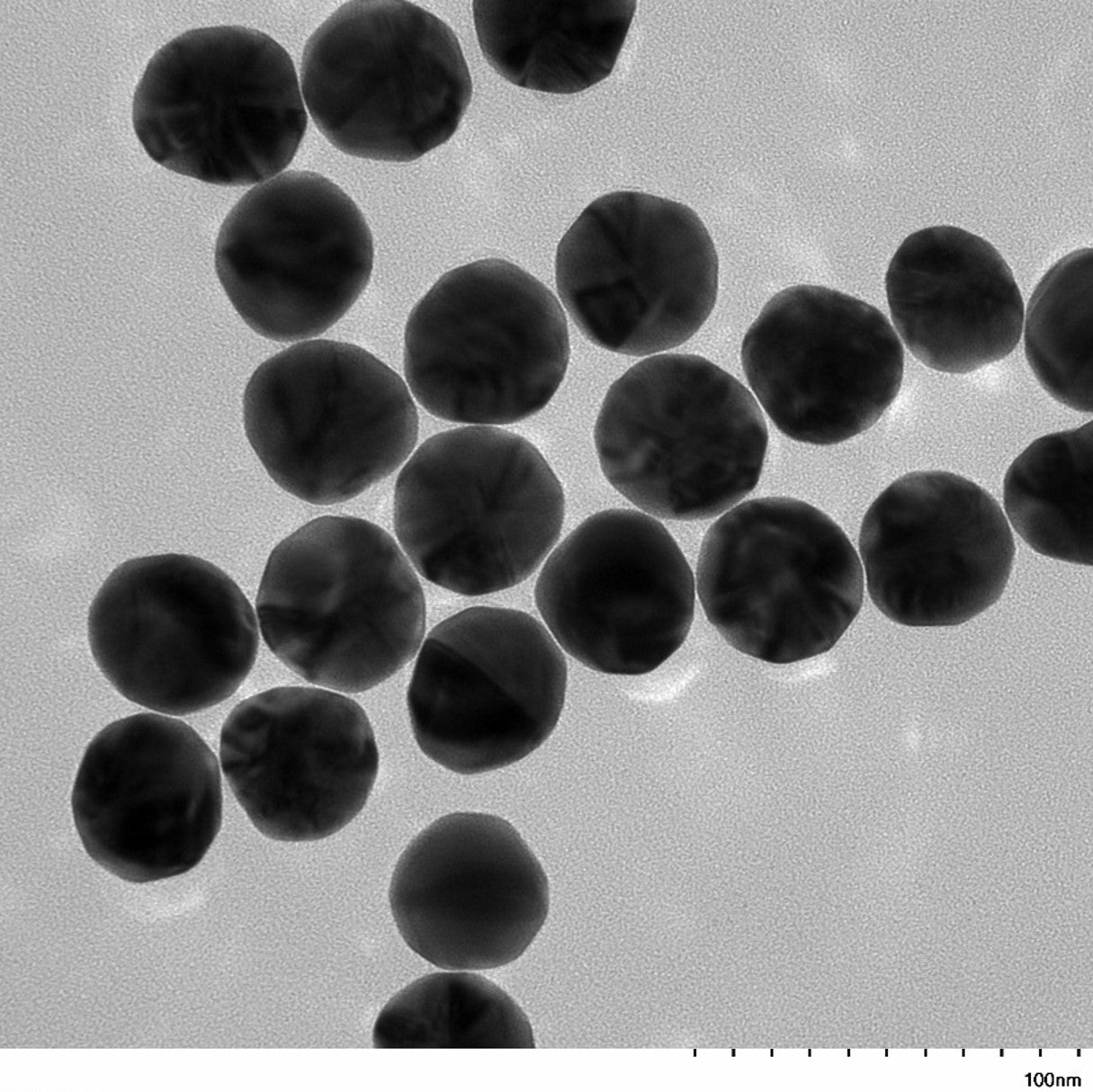 High magnification TEM image highlighting the smooth, spherical morphology of individual 60 nm gold nanoparticles