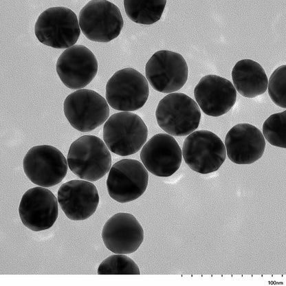 High magnification TEM image highlighting the smooth, spherical morphology of individual 60 nm gold nanoparticles