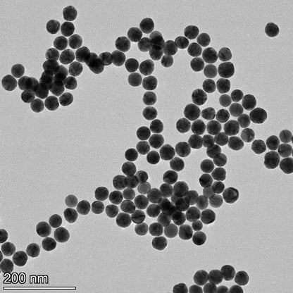 TEM image of a monolayer of 40 nm gold nanospheres used for size measurement and particle counting.

