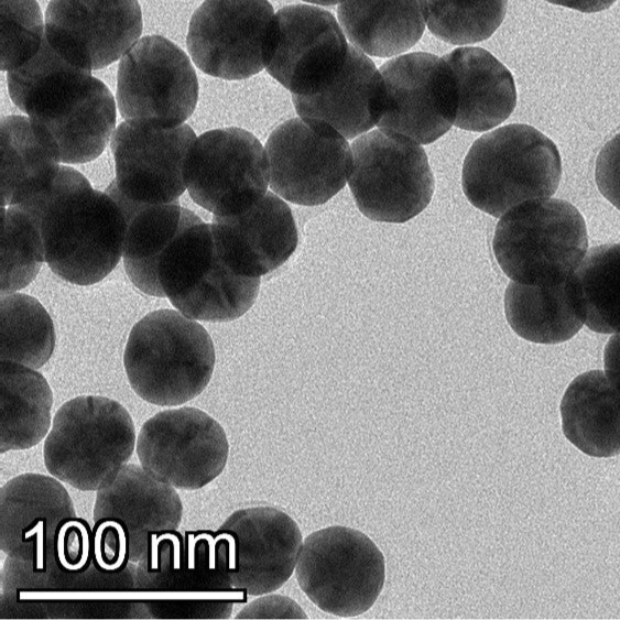 High magnification TEM image highlighting the smooth, spherical morphology of individual 40 nm gold nanoparticles.