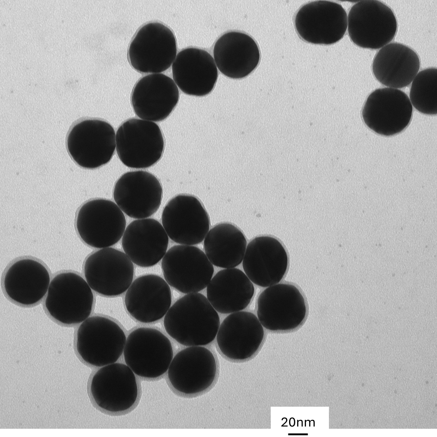 TEM image confirming absence of aggregates in the 50 nm gold nanoparticle sample, particles well separated on the grid.

