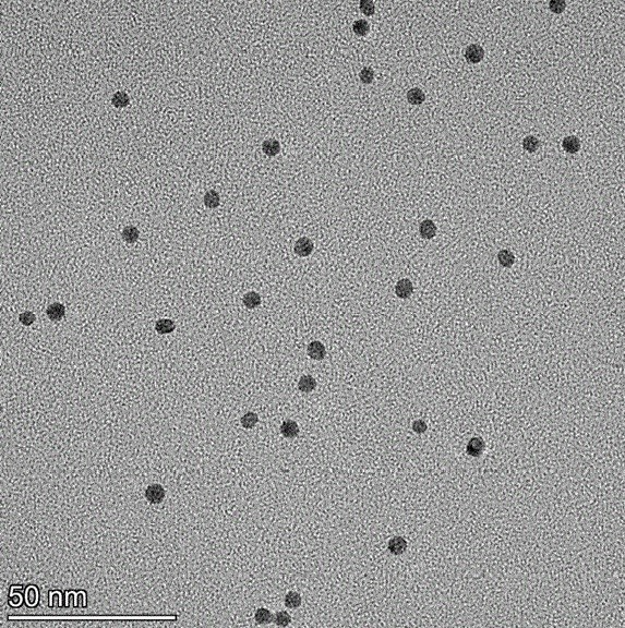 5 nm citrate coated spherical gold nanoparticles in stable colloidal suspension.

