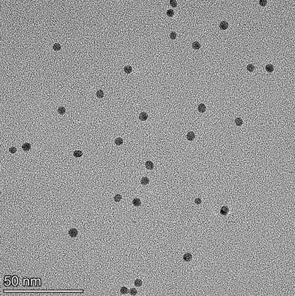 5 nm citrate coated spherical gold nanoparticles in stable colloidal suspension.

