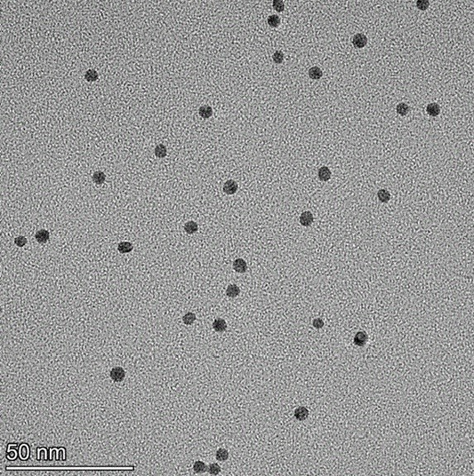 5 nm citrate coated spherical gold nanoparticles in stable colloidal suspension.
