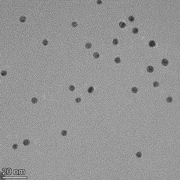 TEM image confirming absence of aggregates in the 5 nm gold nanoparticle sample, particles well separated on the grid.



