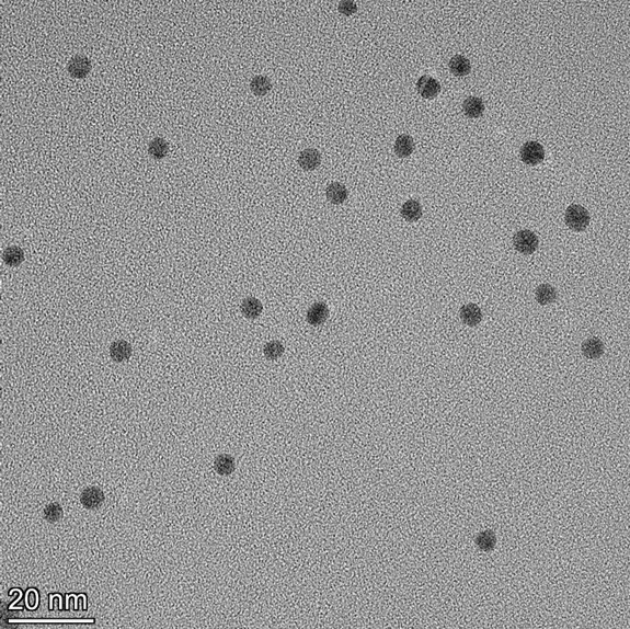 TEM image confirming absence of aggregates in the 5 nm gold nanoparticle sample, particles well separated on the grid.
