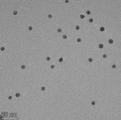 TEM image confirming absence of aggregates in the 5 nm gold nanoparticle sample, particles well separated on the grid.
